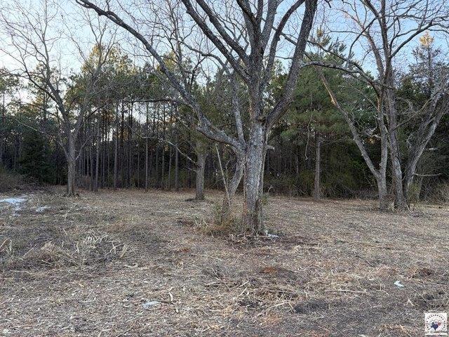 Land for sale in Hughes Springs, Texas