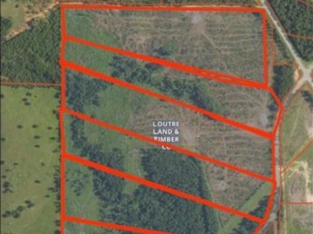 Land for sale in Bloomburg, Cass County