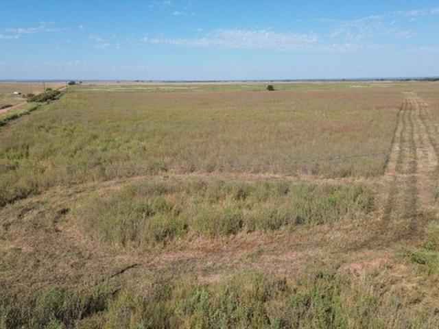 Farm for sale in Crowell, Texas