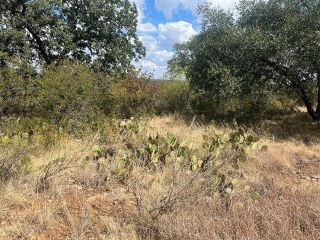 Land for sale in Brownwood, Brown County