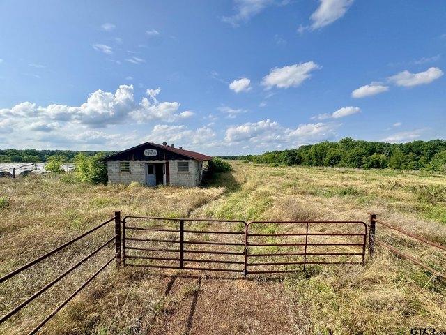 Land for sale in Big Sandy, Upshur County