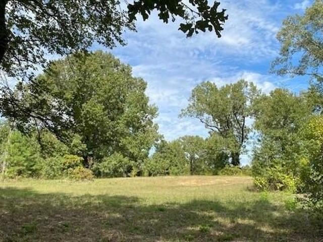 House for sale in Eustace, Henderson County
