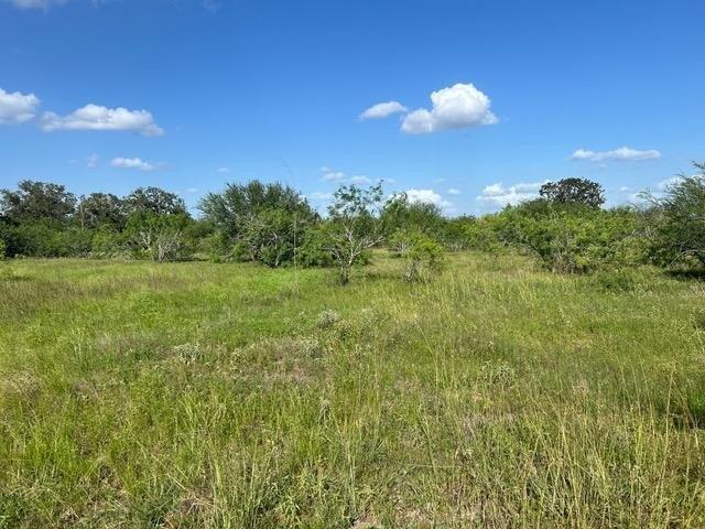 Land for sale in Waelder, Gonzales County