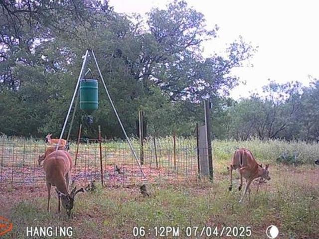 Farm for sale in Mills, Texas