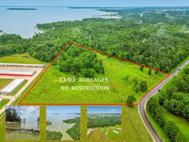 Land for sale in Polk, Texas