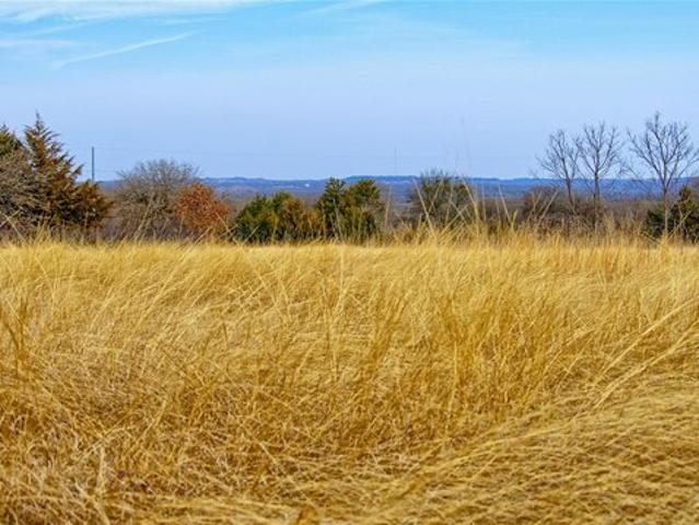 Land for sale in Saint Jo, Texas