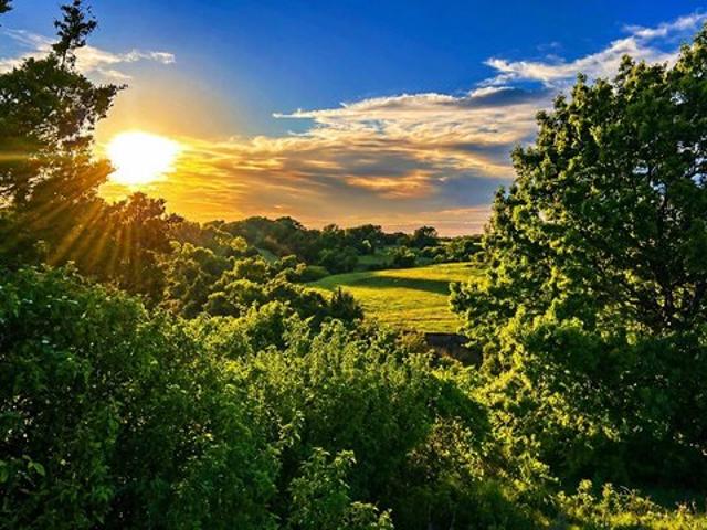 Land for sale in Saint Jo, Texas