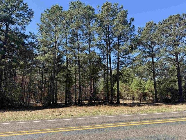 Land for sale in Tatum, Texas