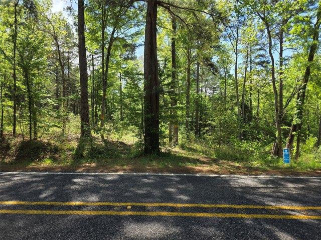 Land for sale in Palestine, Texas