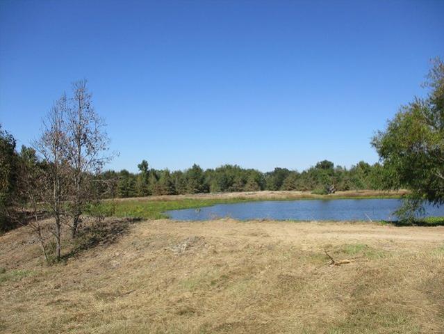 Land for sale in Rains, Texas