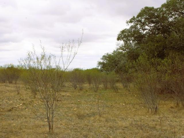 Land for sale in Kingsbury, Texas
