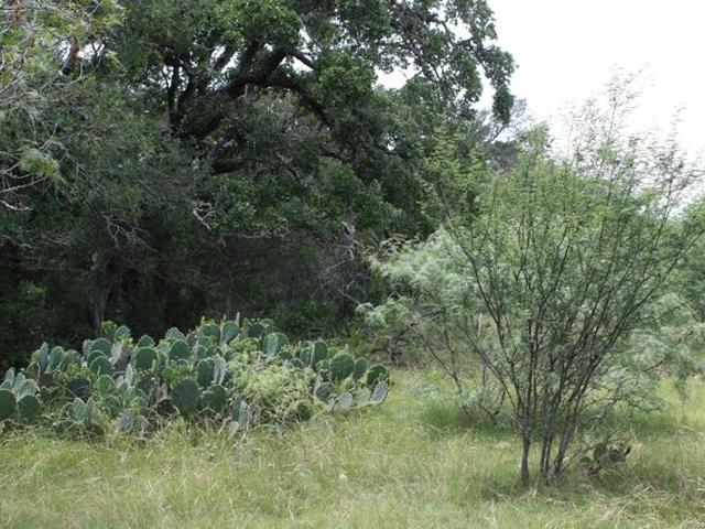 Farm for sale in Seguin, Texas