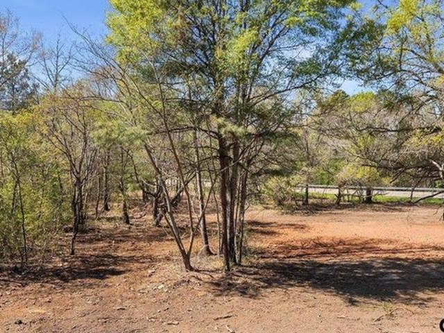 Land for sale in Smith, Texas