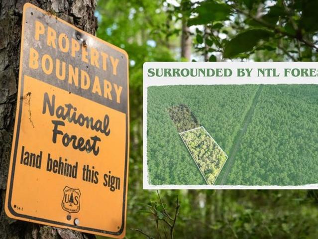 Land for sale in Kennard, Texas