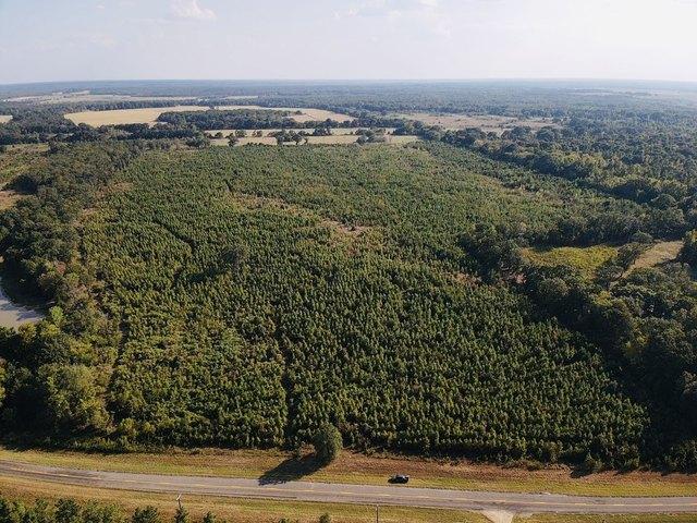Land for sale in Detroit, Red River County