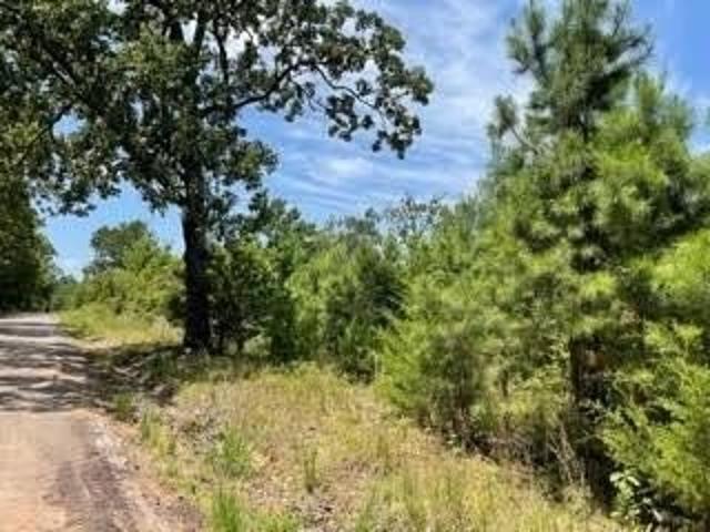 Land for sale in Camp, Texas