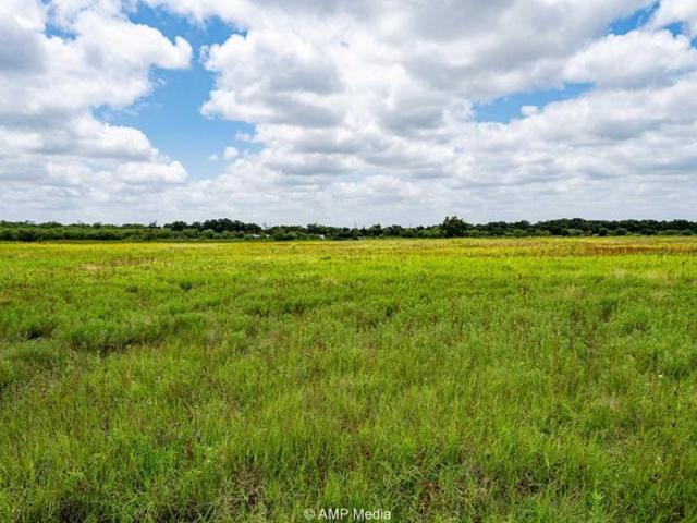 Land for sale in Callahan, Texas