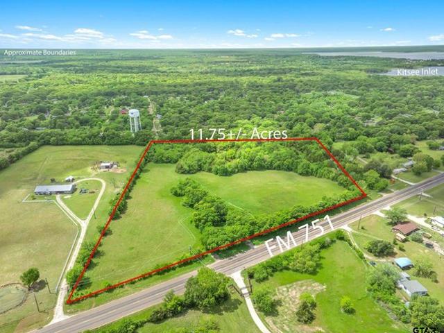 Land for sale in Wills Point, Texas