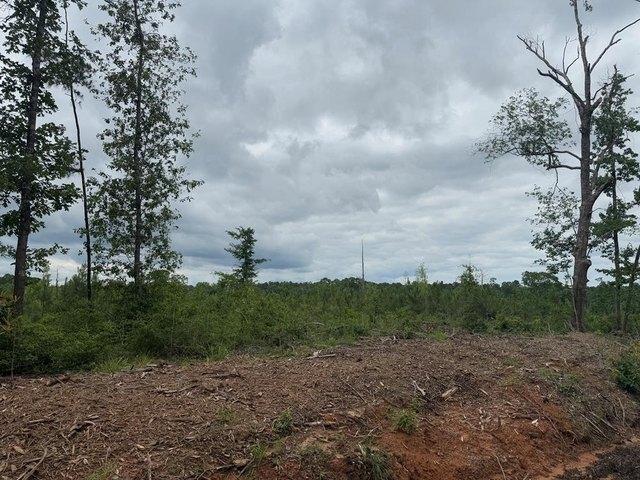 Land for sale in Jasper, Texas