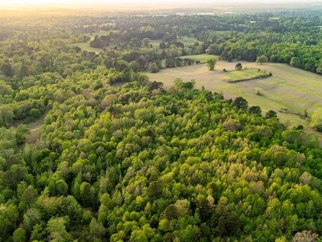 Land for sale in Overton, Texas