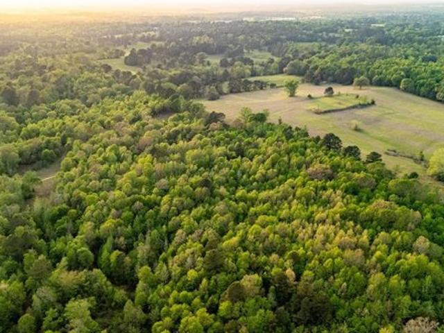 Land for sale in Overton, Texas