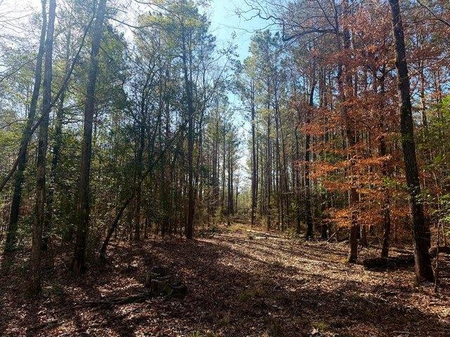 Land for sale in Sabine, Texas