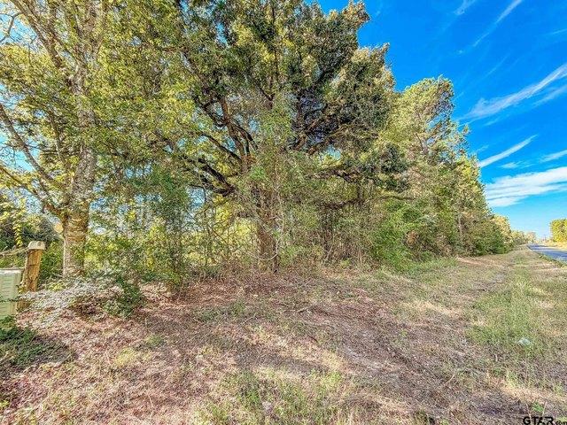 Land for sale in Bullard, Smith County