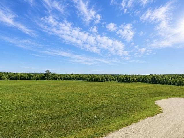 Land for sale in Delta, Texas