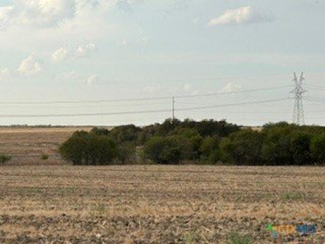 Land for sale in Troy, Texas
