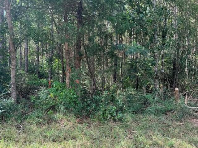 Land for sale in Polk, Texas