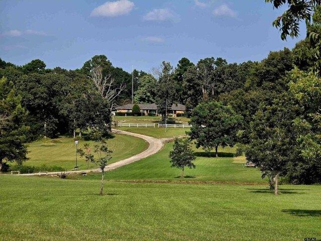 Land for sale in Ben Wheeler, Texas