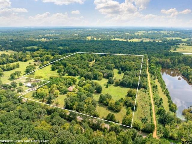 House for sale in Ben Wheeler, Texas