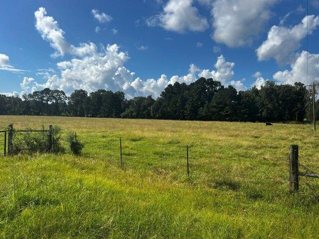 Land for sale in Broaddus, Texas