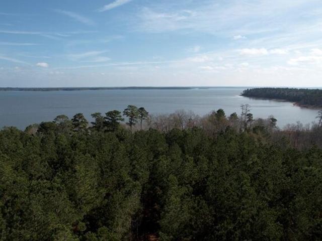 Land for sale in Broaddus, Texas