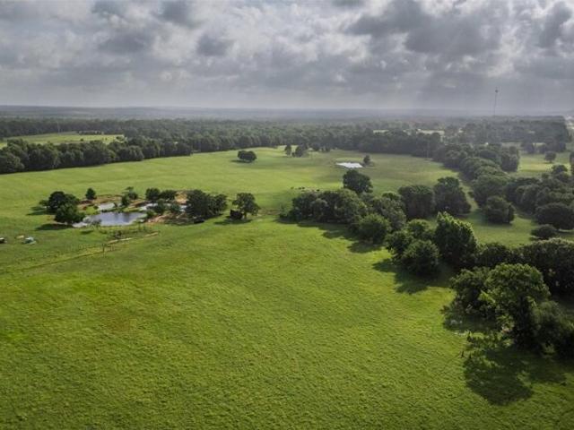 Land for sale in Murchison, Texas
