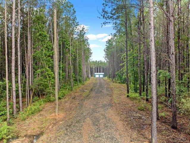 Land for sale in San Augustine, Texas