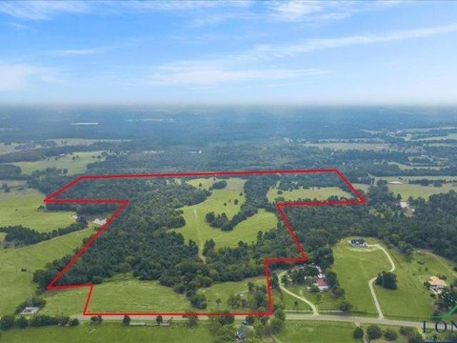 Farm for sale in Big Sandy, Texas
