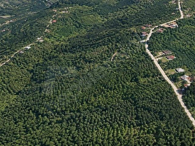 Erenköy, Terme içerisinde satılık Arsa