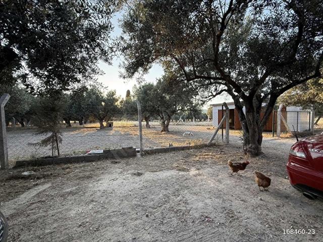 Foça, İzmir içerisinde satılık mülk