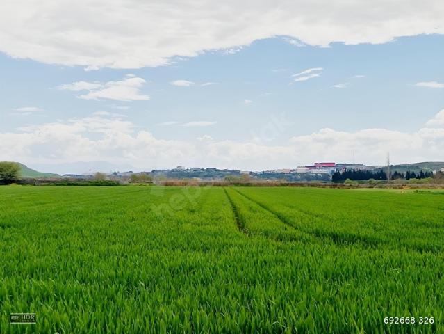 Foça, İzmir içerisinde satılık Arsa