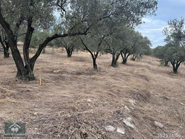Foça, İzmir içerisinde satılık Arsa
