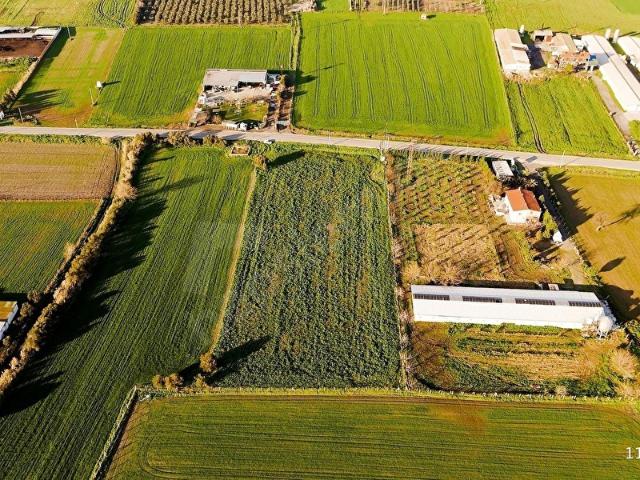 Foça, İzmir içerisinde satılık Arsa