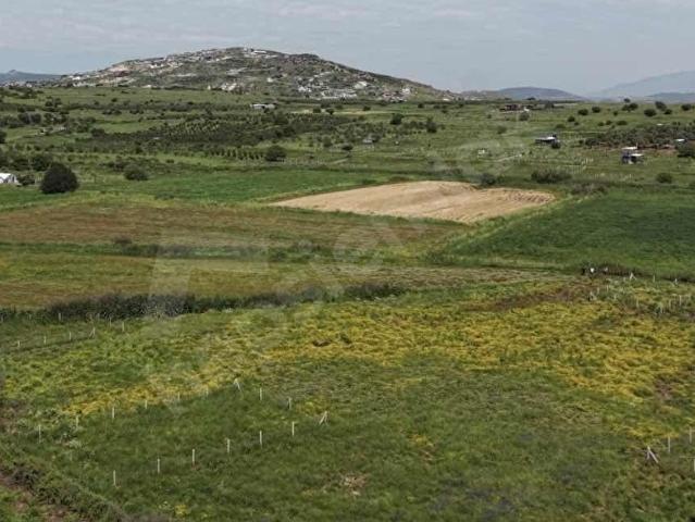Foça, İzmir içerisinde satılık Arsa