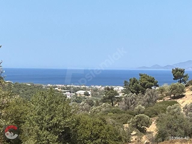 Yeniköy Mahallesi, Foça içerisinde satılık Arsa