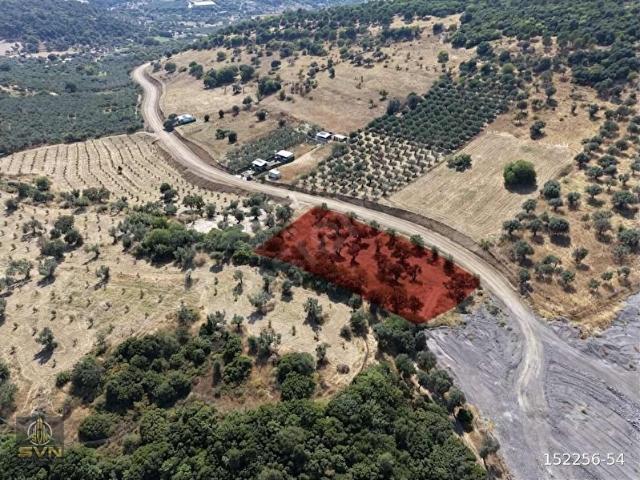 Foça, İzmir içerisinde satılık Arsa