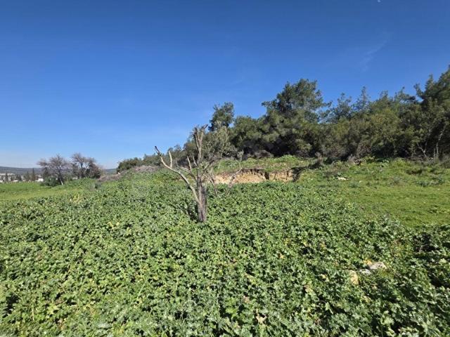 Foça, İzmir içerisinde satılık mülk