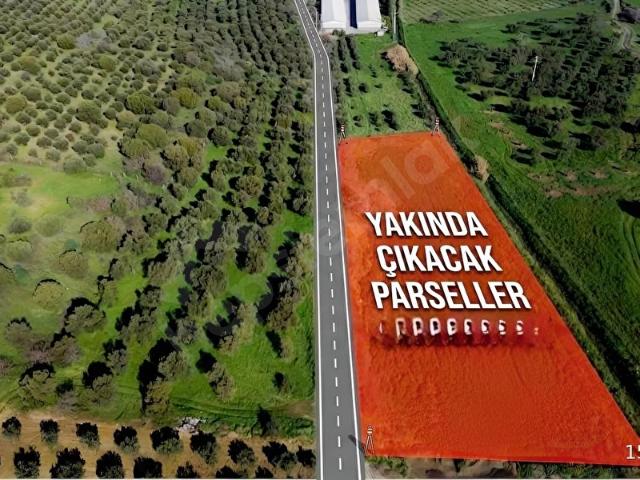 Foça, İzmir içerisinde satılık Arsa