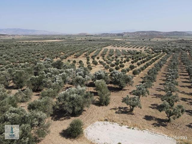 Foça, İzmir içerisinde satılık mülk
