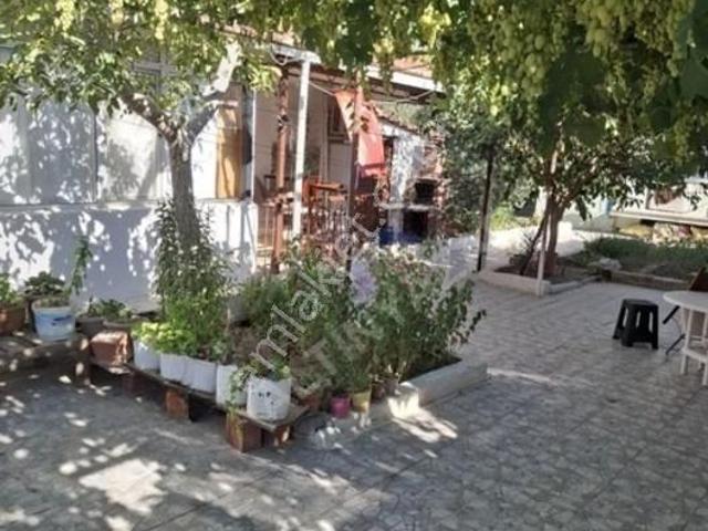Foça, İzmir içerisinde kiralık Bina