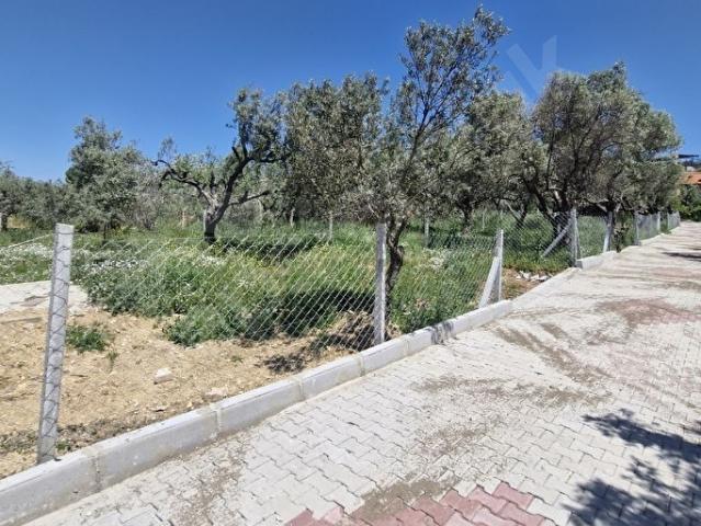 Foça, İzmir içerisinde satılık mülk